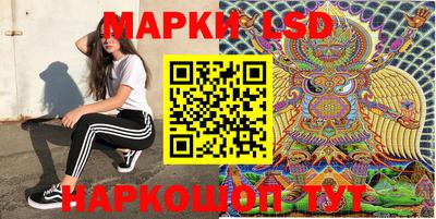 дмт Краснодар