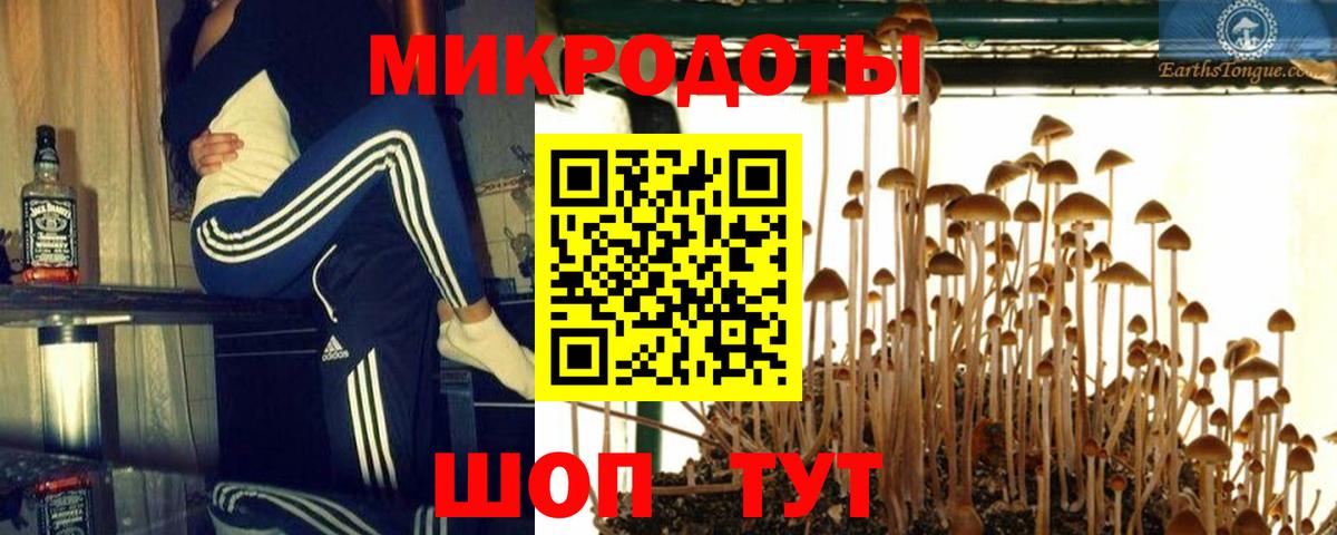 Галлюциногенные грибы мицелий Коркино