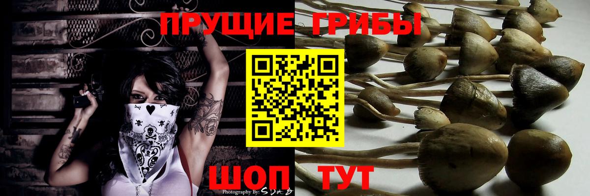 Псилоцибиновые грибы мицелий  Вход с VPN  Коркино 